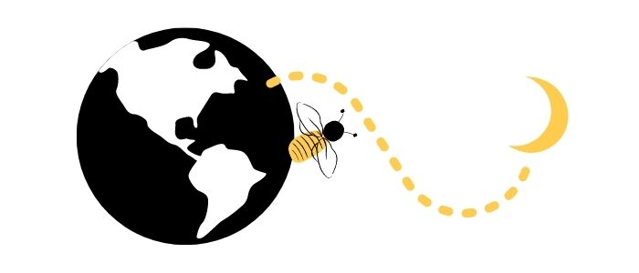 Bee trivia number 4: Honey bees travel the distance between the Earth and Moon everyday.