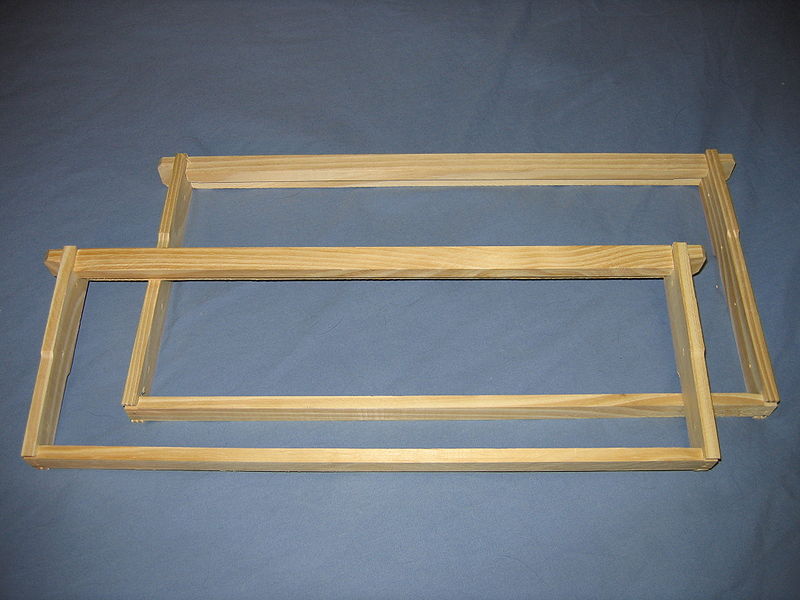 Langstroth frame without the foundation (also known as foundationless)